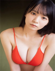 恋恋笔记本下载
