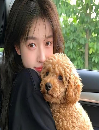 《上门狂婿》专业欣赏手册：欣赏艺术表现与美学价值的实用技巧 让你丰富文化知识